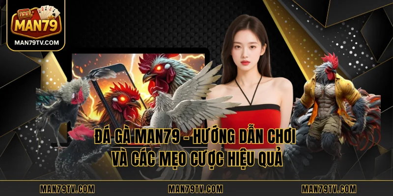 Đá Gà MAN79 – Hướng Dẫn Chơi Và Các Mẹo Cược Hiệu Quả Đá Gà MAN79 – Hướng Dẫn Chơi Và Các Mẹo Cược Hiệu Quả