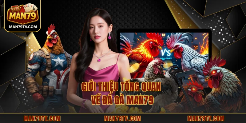 Đá Gà MAN79 – Hướng Dẫn Chơi Và Các Mẹo Cược Hiệu Quả Giới thiệu tổng quan về đá gà MAN79